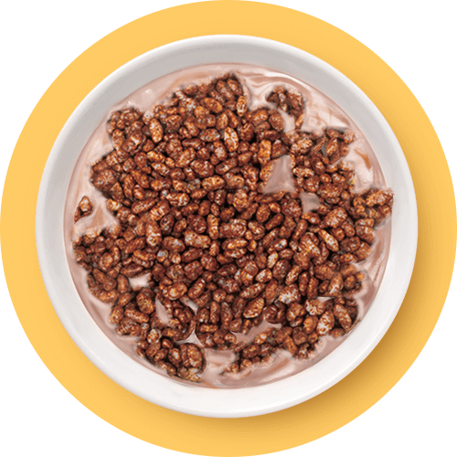 Bowl Of Coco Pops With Milk