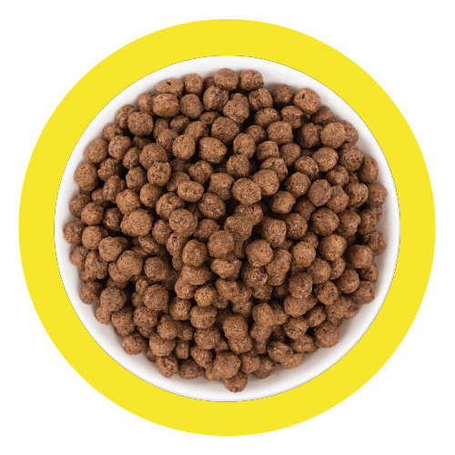 A bowl of Coco Pops