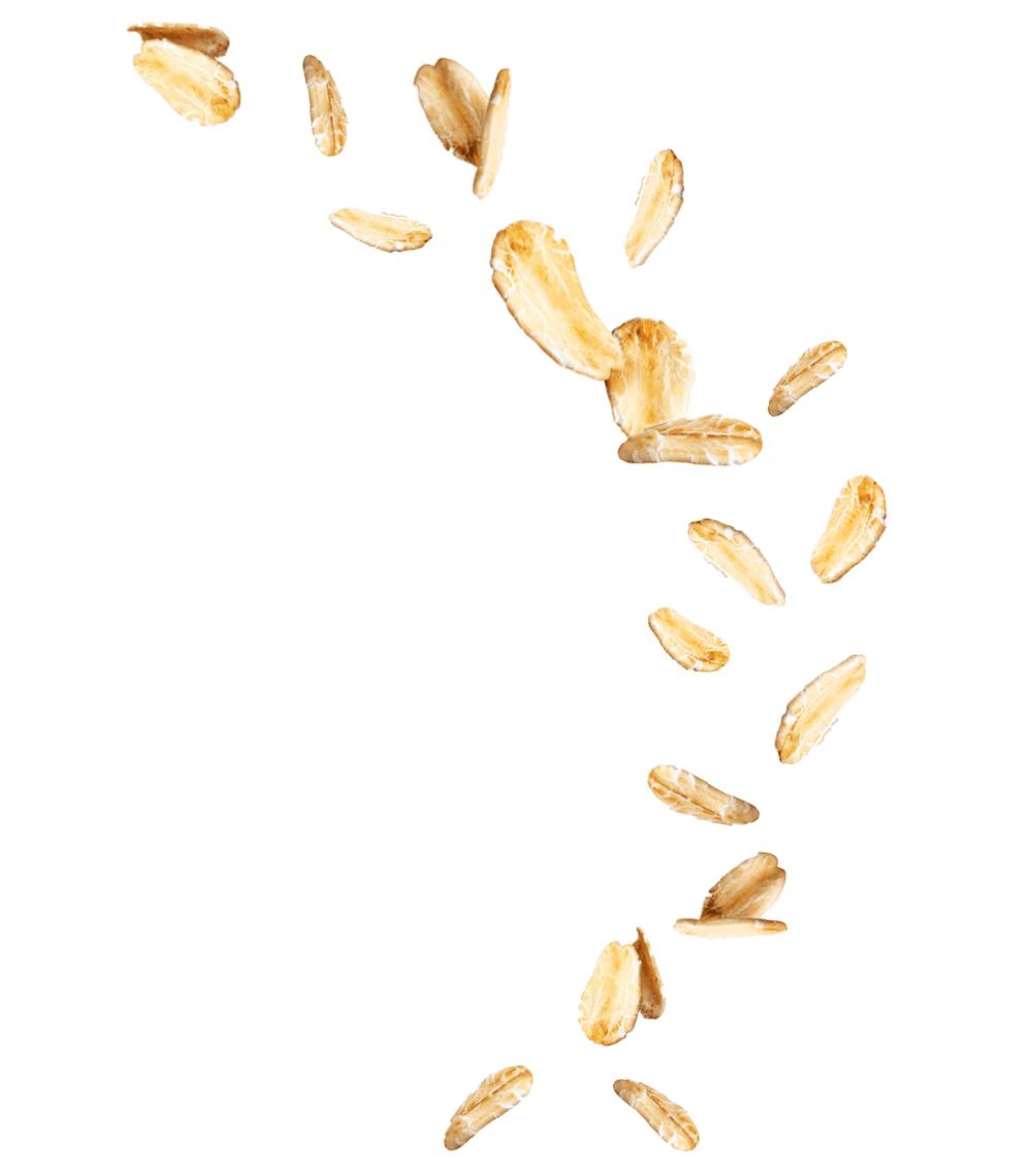 一堆燕麥