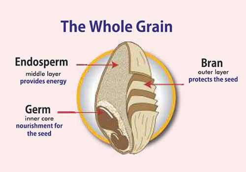 Whole Grain VS Refined Grain: What's vital to health | Kelloggs IN