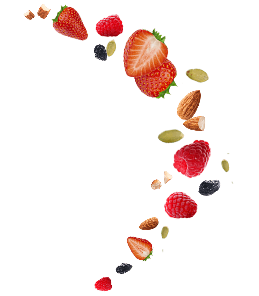 Nuts, Grains and Berries
