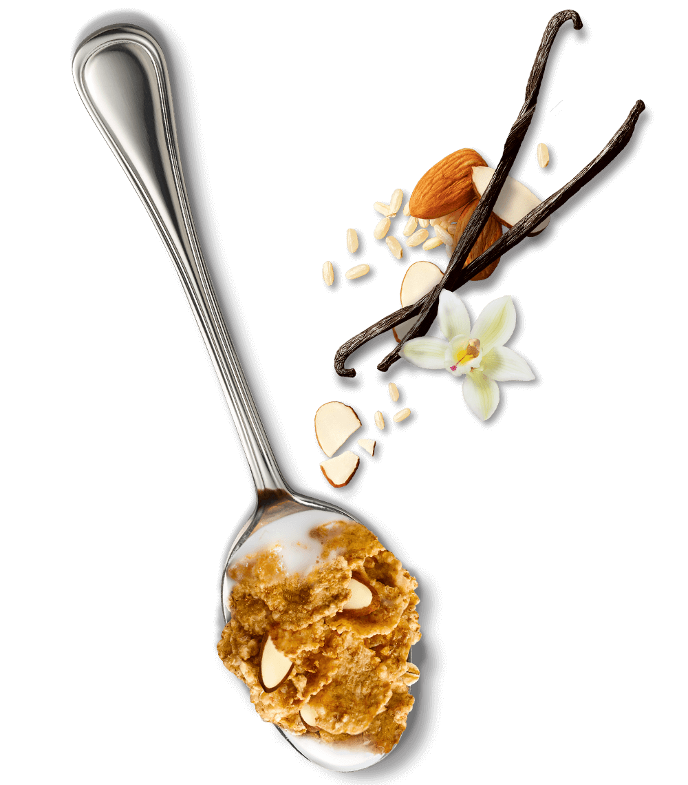 Spoon of Kellogg's Special K Cereal With Real Almonds