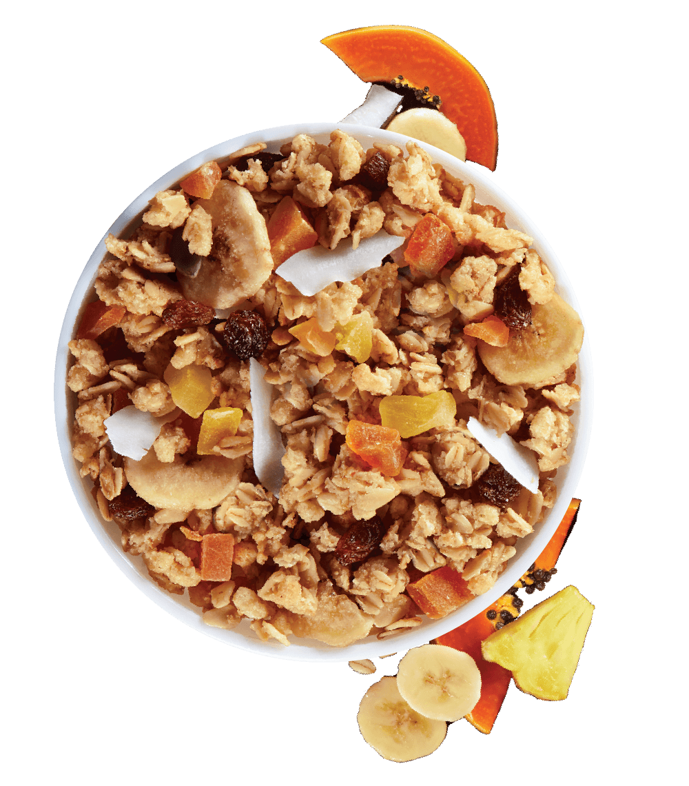 Kellogg's Granola Bowl with Dried Fruits and Berries