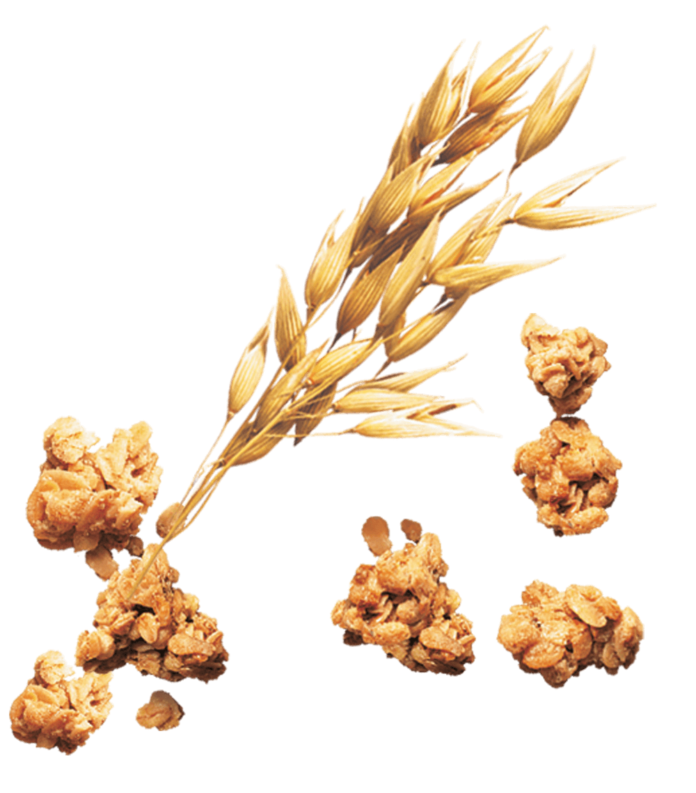 Granola Clusters with Wheat Grains