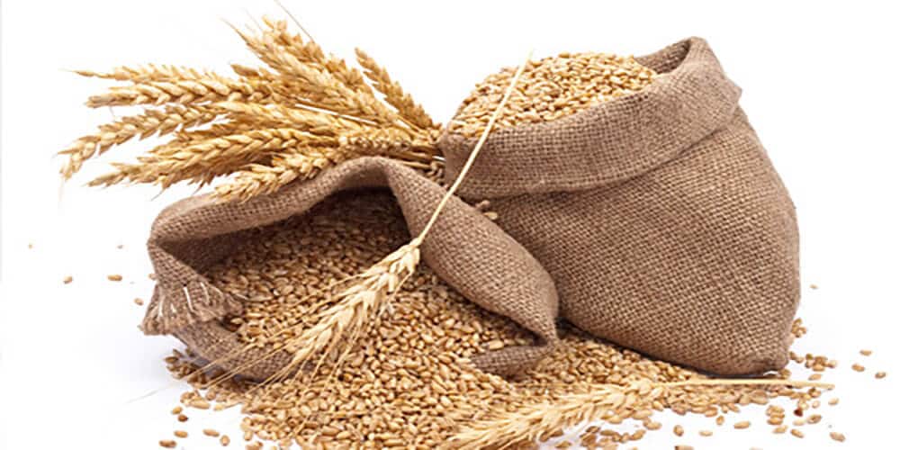 Bags of Barley