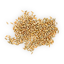 Rye
