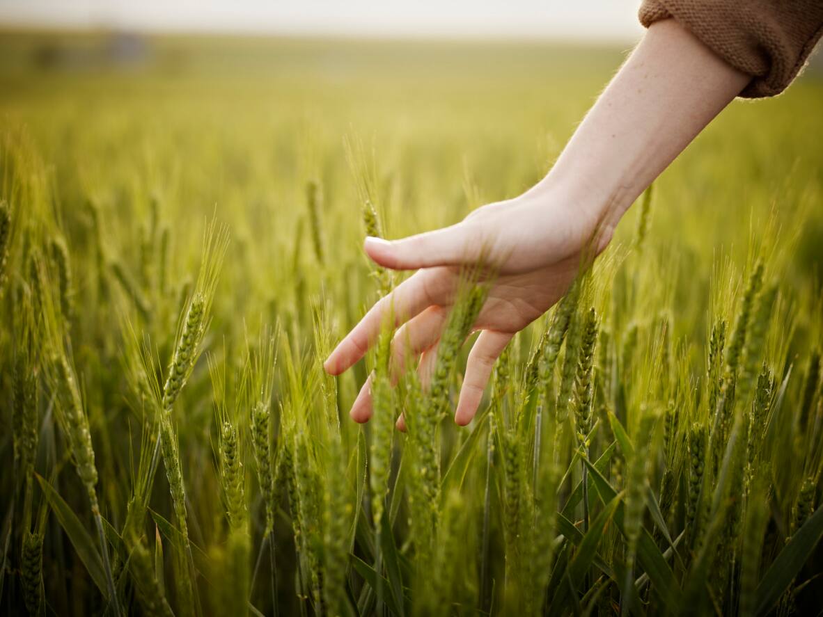 sustainability scorecard