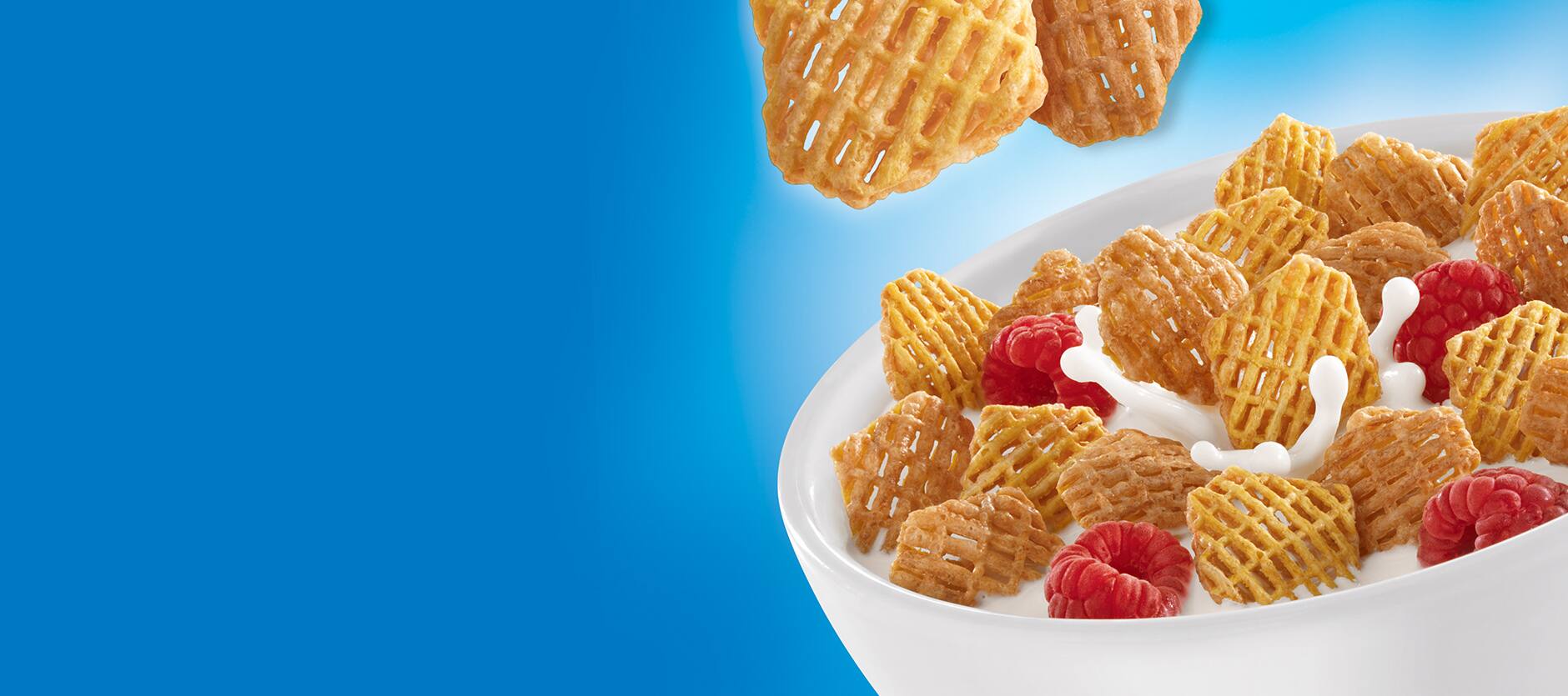 Crispix kelloggs brands
