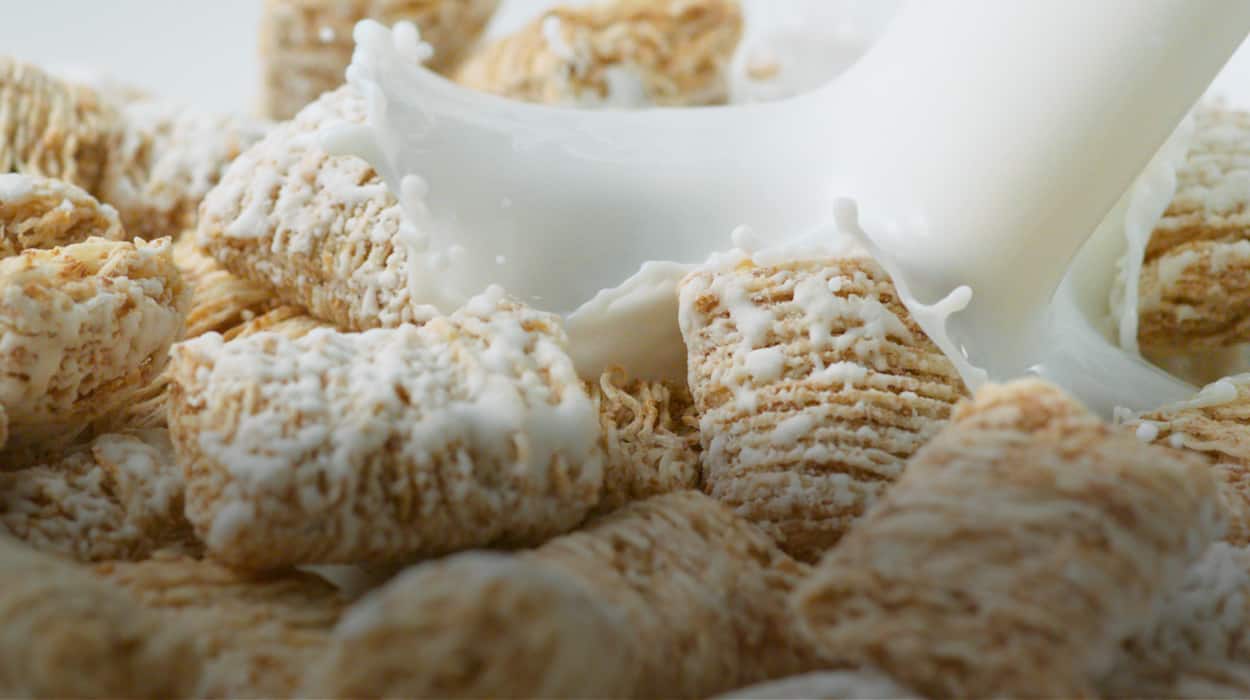 Frosted mini wheat ingredients