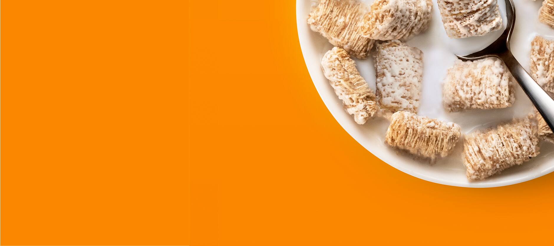 frosted mini wheats kelloggs brand