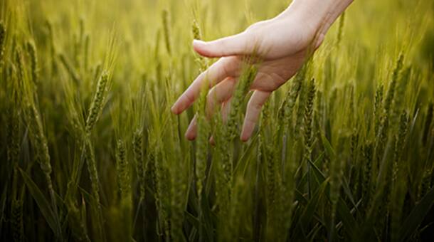 sustainability scorecard