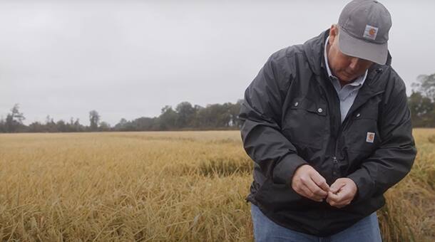 SUSTAINABILITY How Kellogg's is Helping US Farmers Protect the Planet Watch the videos