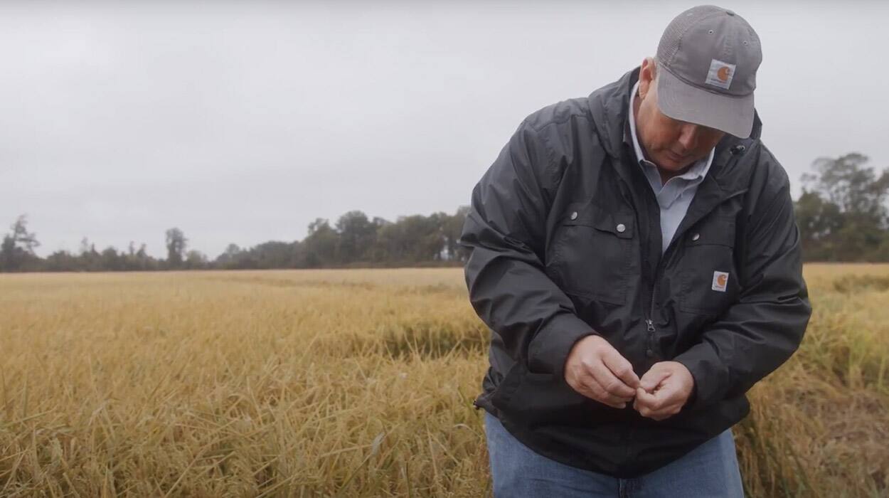 How Kellogg and Farmers Boost Sustainability