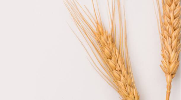 Kellogg story and history