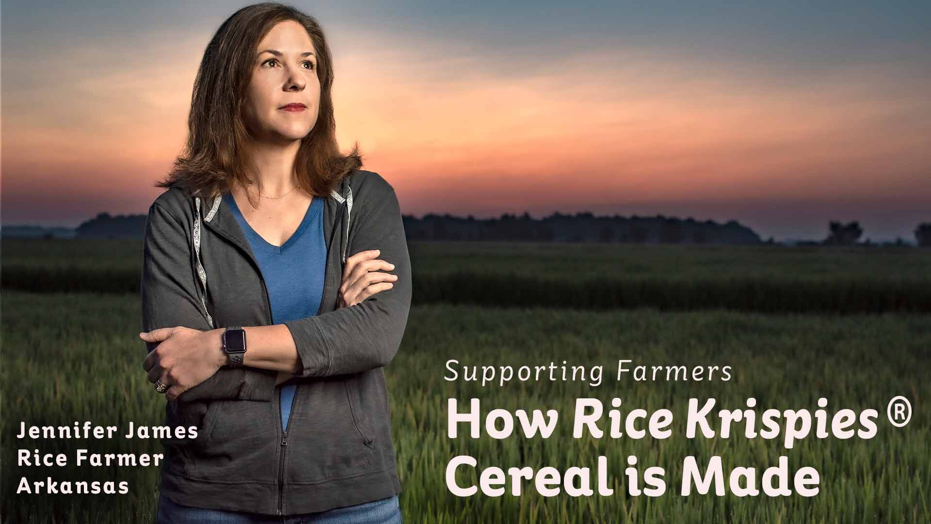 How Rice Krispies Are Made