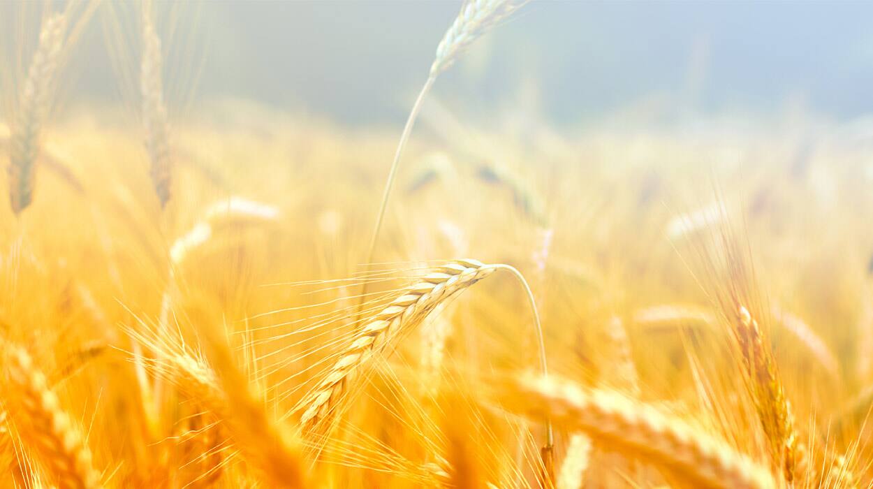 We are committed to bringing Better Days to 3 billion people
