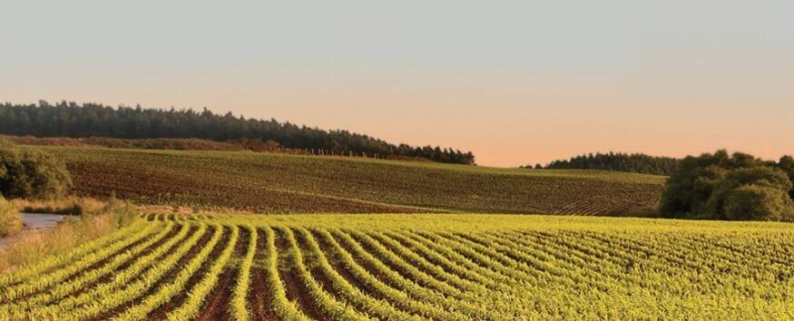 5-questions-about-the-goodness-of-grains