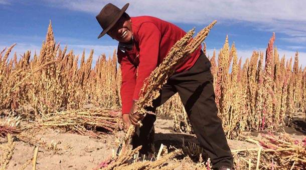 Kellogg supports smallholder and women farmers around the world by providing support that can increase yields and livelihoods