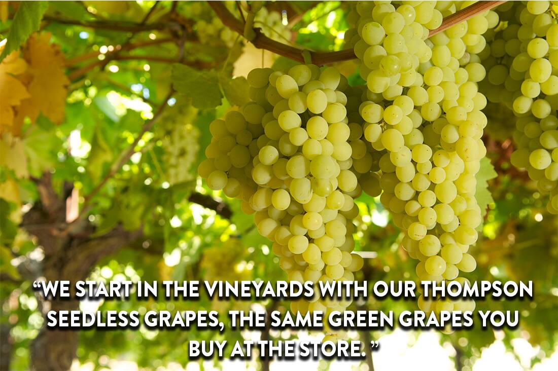 Thompson Grapes
