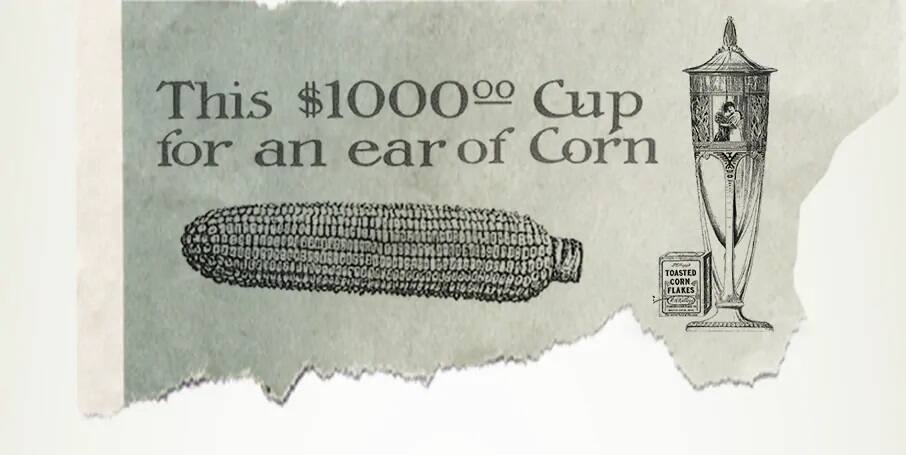 corn