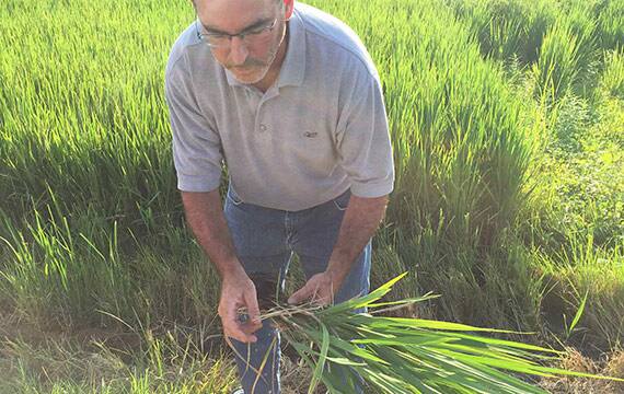Kellogg and The Nature Conservancy team up with farmers to improve, water quality, soil erosion, and lower carbon footprints.