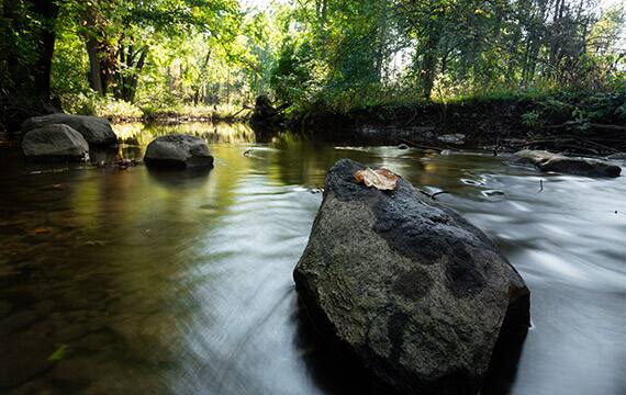 Kellogg: reducing the water we use, while also growing our business