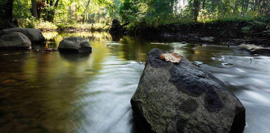 water reduction