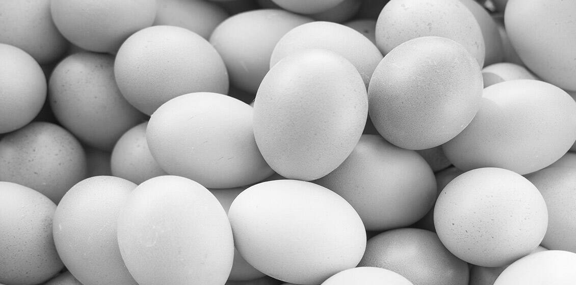cage free eggs
