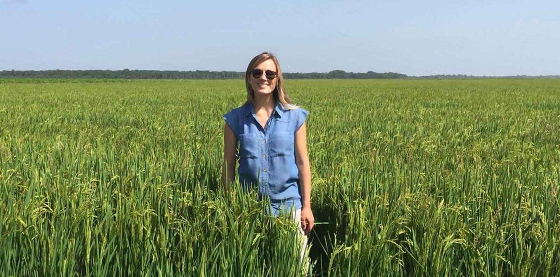 Rice Farmer