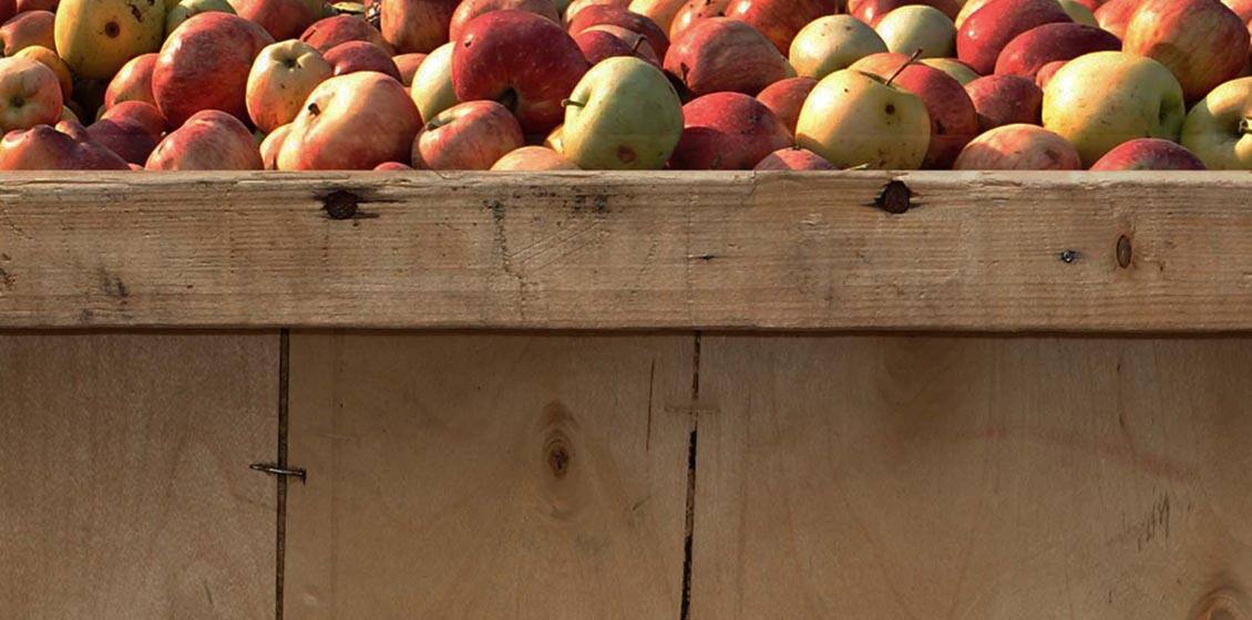 ugly fruit