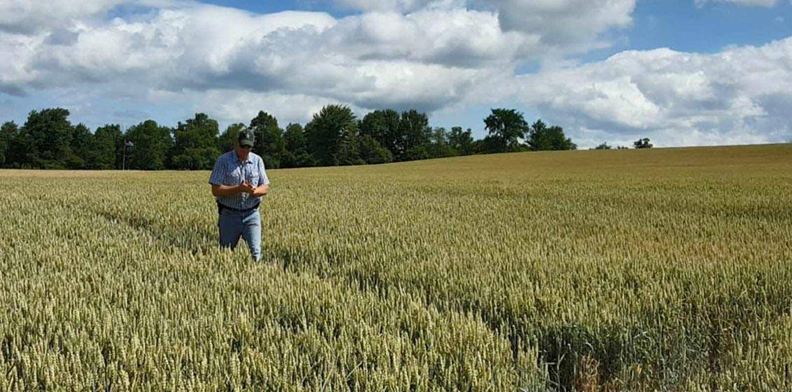 Farmers and Technology