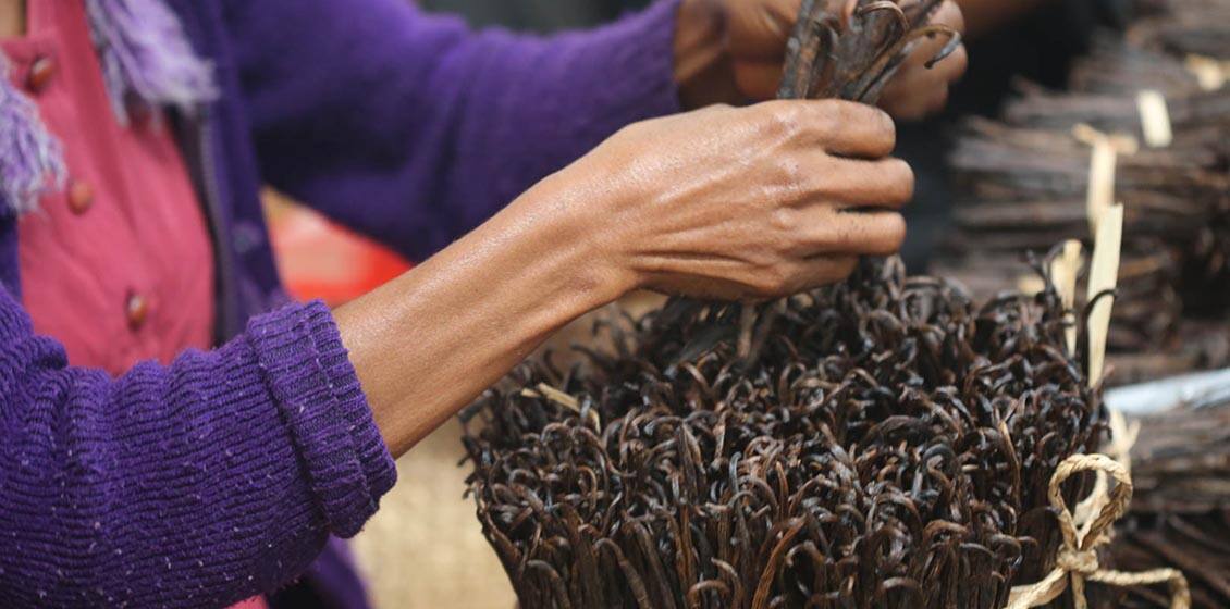 vanilla sourcing