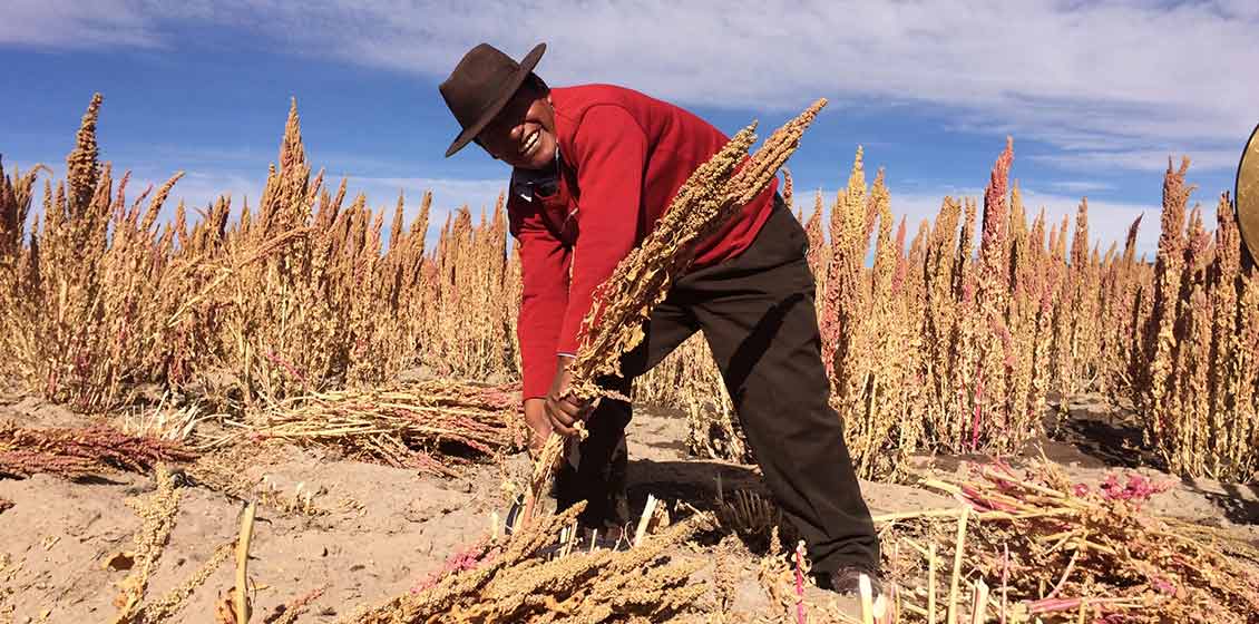 Kellogg supports smallholder and women farmers around the world by providing support that can increase yields and livelihoods