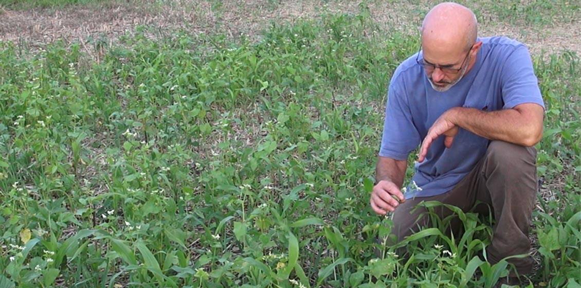 Get the dirt on healthy soil and the important role it plays in better agriculture and a better environment. 