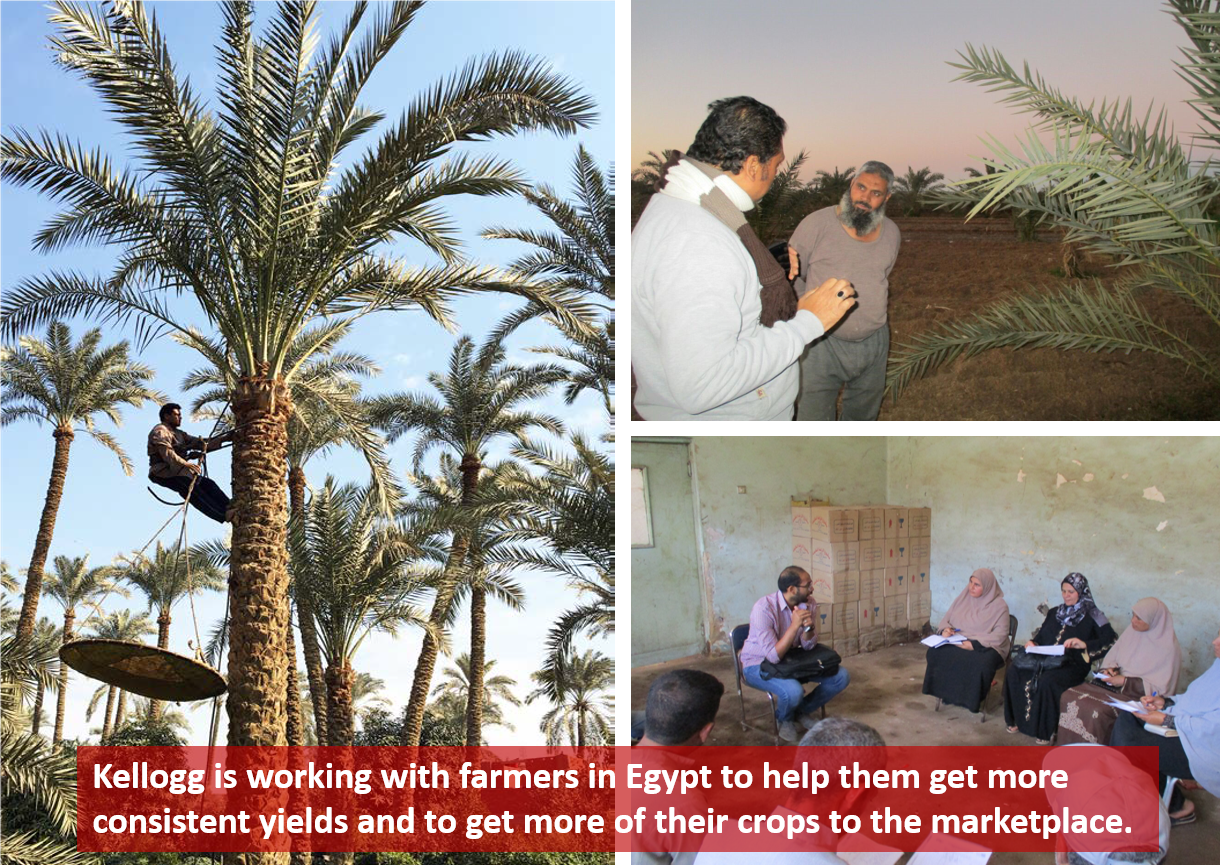 Egyptian-farmers