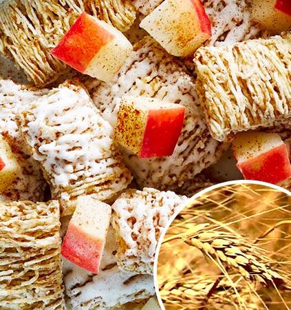 mini wheats banner