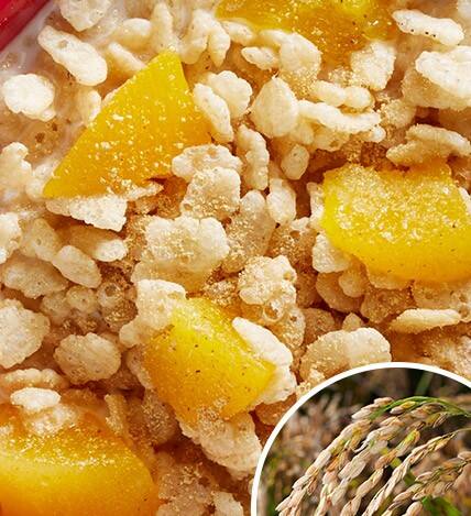 rice krispies banner