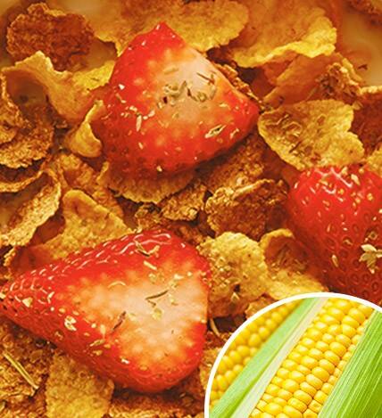corn banner