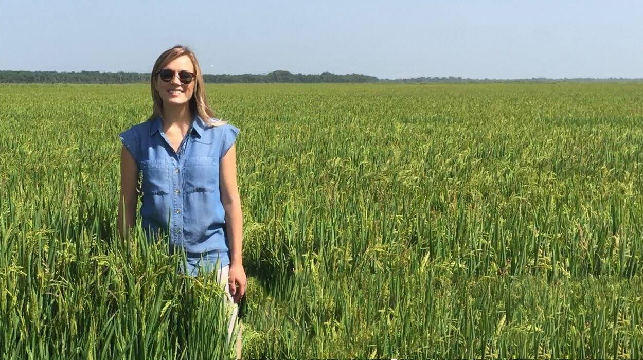 Meet a farmer who grows rice for Special K