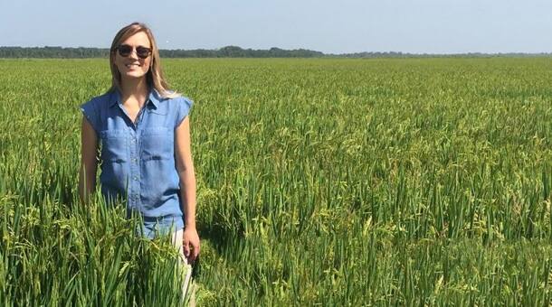Meet a farmer who grows rice for Special K