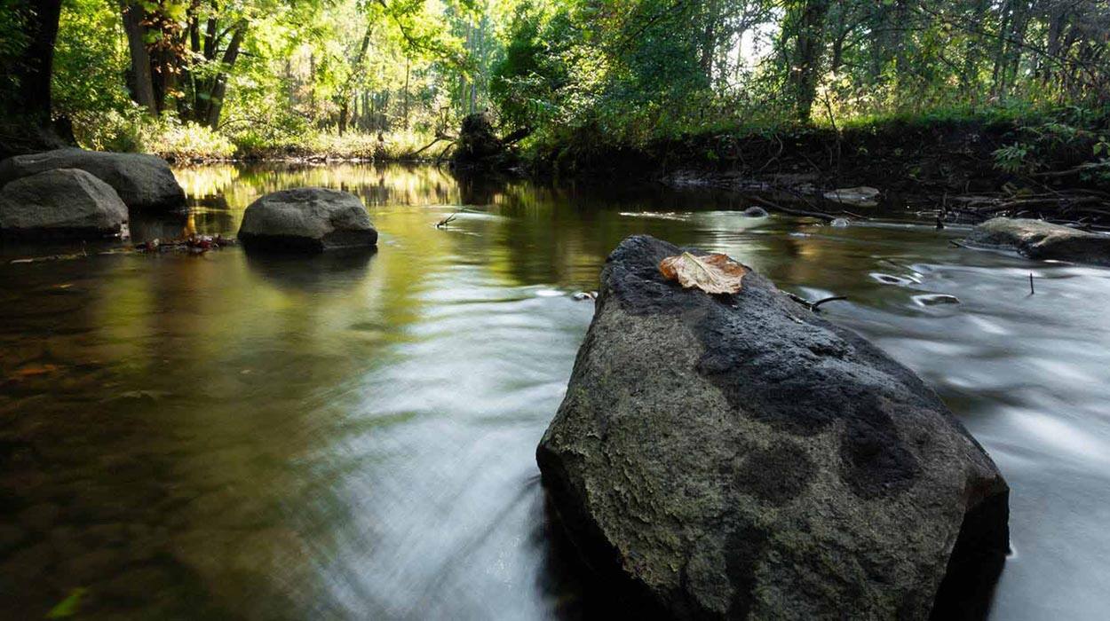 Kellogg: reducing the water we use, while also growing our business