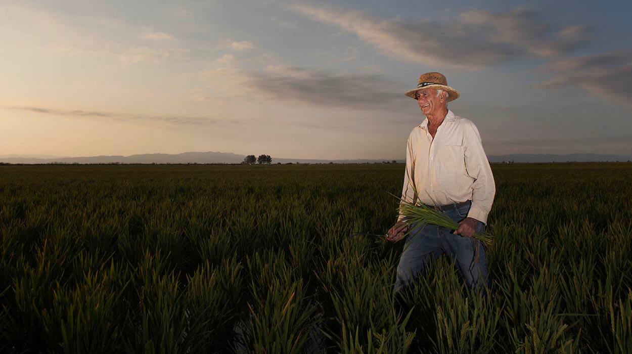 Kellogg has pledged to help 1 million farmers adopt sustainable agriculture