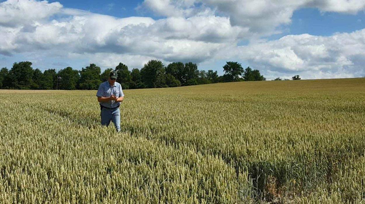 Boosting Agricultural Sustainability and Productivity with Technology