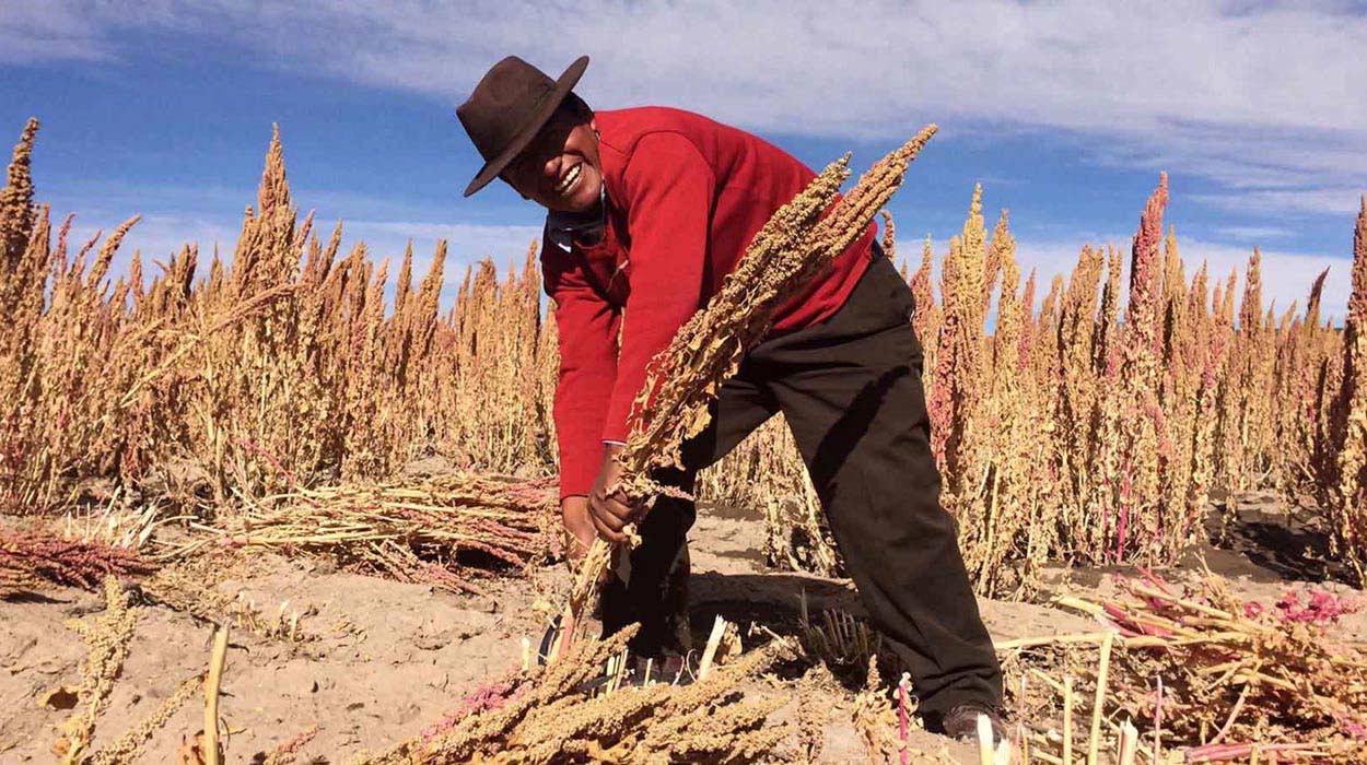 Kellogg supports smallholder and women farmers around the world by providing support that can increase yields and livelihoods