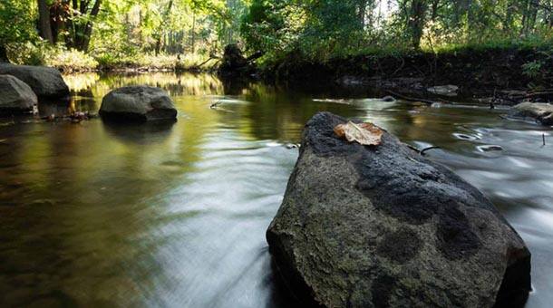Kellogg: reducing the water we use, while also growing our business