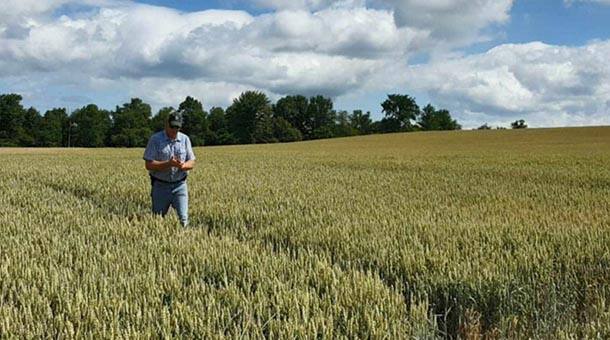 Boosting Agricultural Sustainability and Productivity with Technology