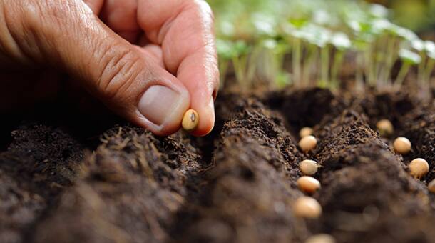 Protecting the planet with sustainable farming
