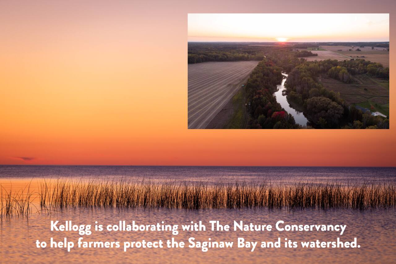 bay and watershed