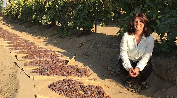 Get to Know a Raisin Farmer