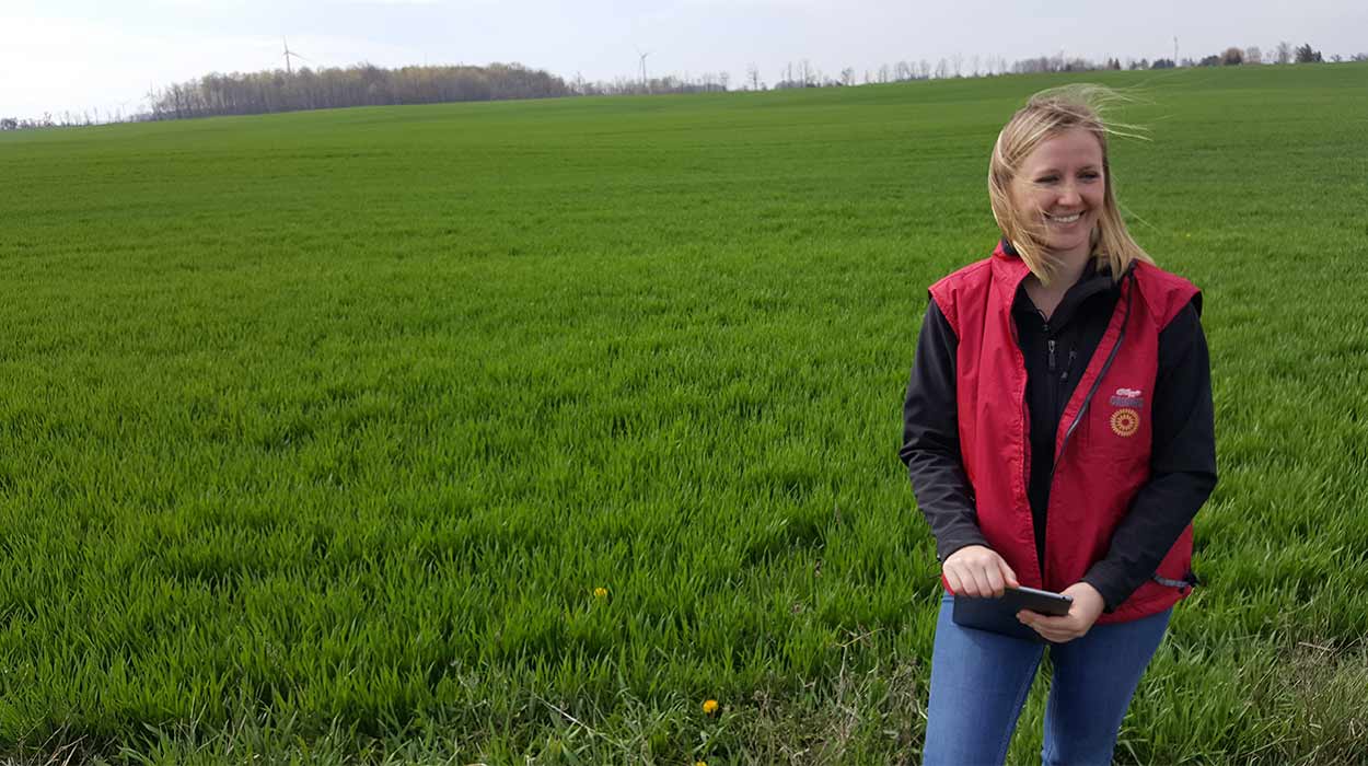 How Kellogg and Farmers Boost Sustainability
